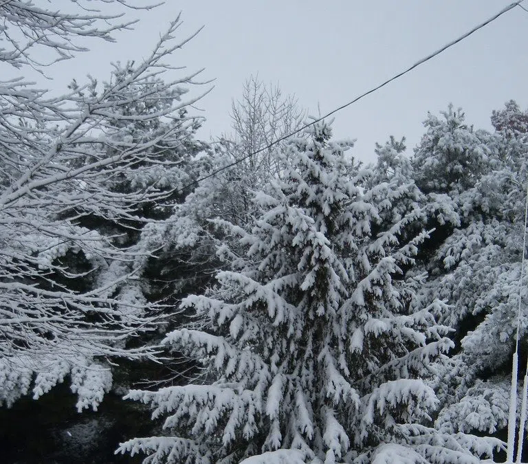 Spring snowstorm could dump up to 50cm in parts of northern Ontario ...