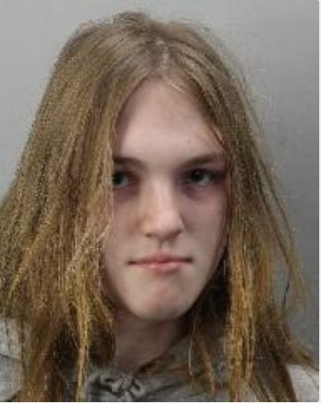 Police ask for help finding missing Beaver Bank teenager - Vimarsana News