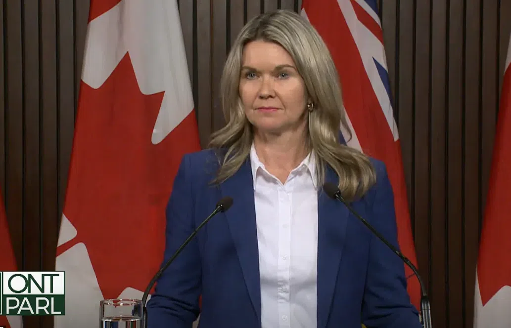 Ontario reveals $1.3B to stabilize post-secondary institutions