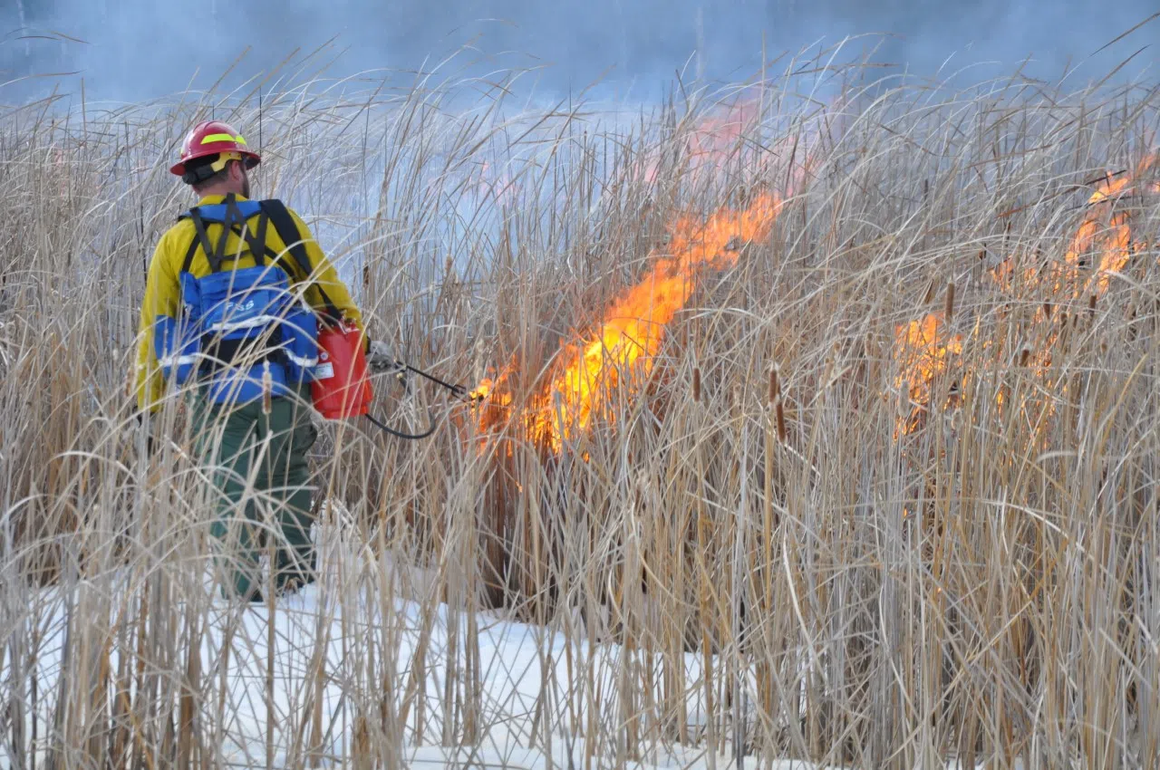 Park plans prescribed burns