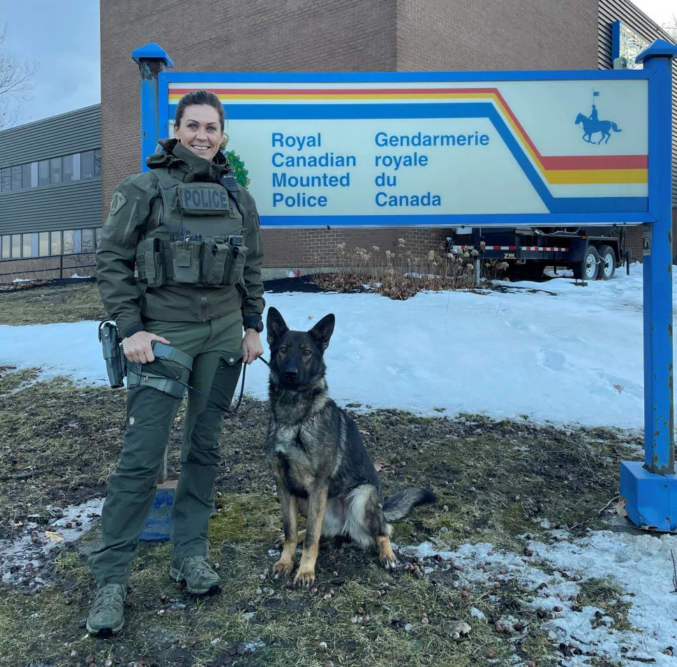 Missing woman located with help of RCMP dog