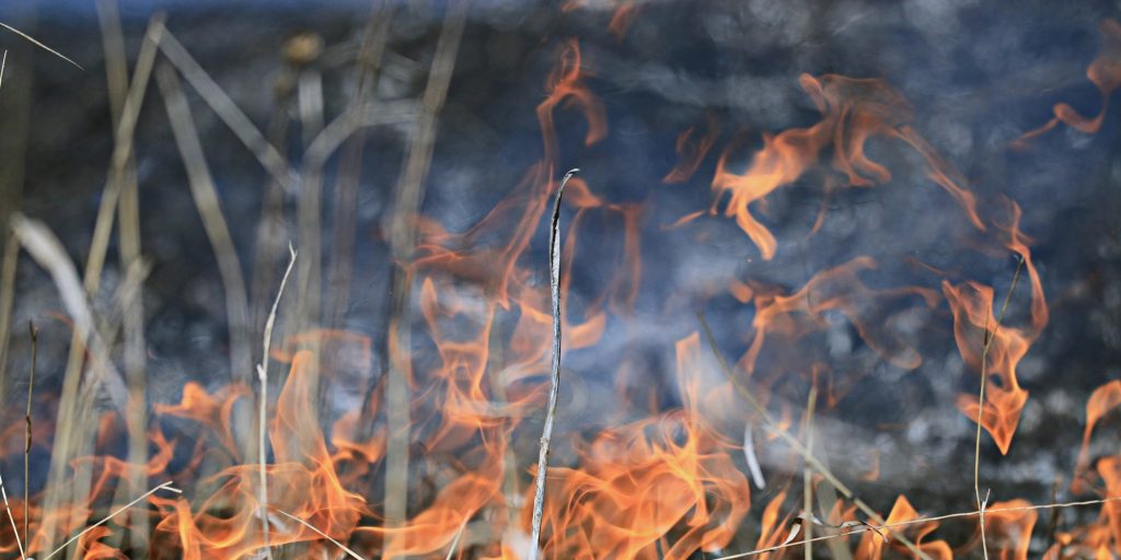 Burn ban in effect for most of N.S. - Vimarsana News