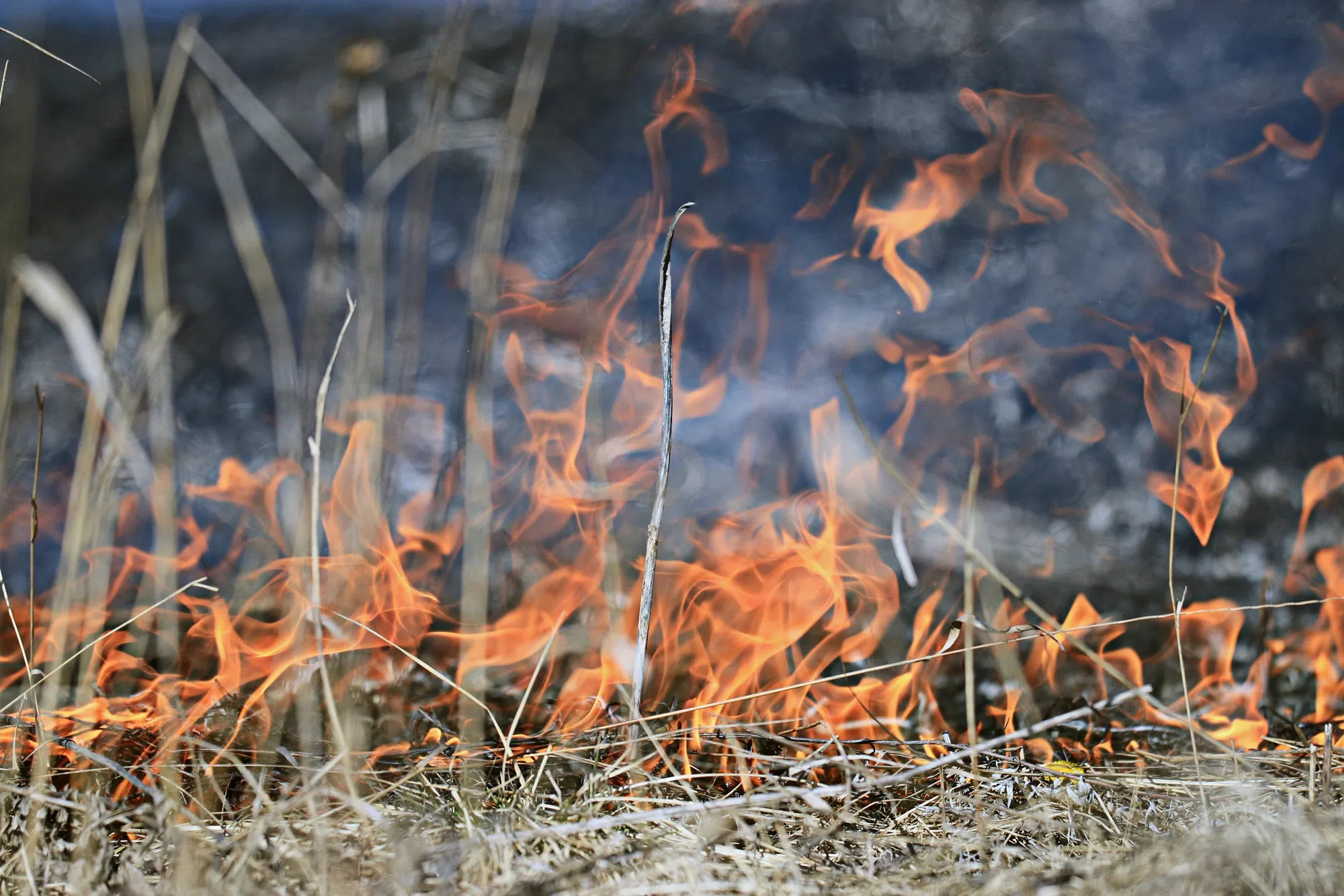 Burn ban in effect for most of N.S.