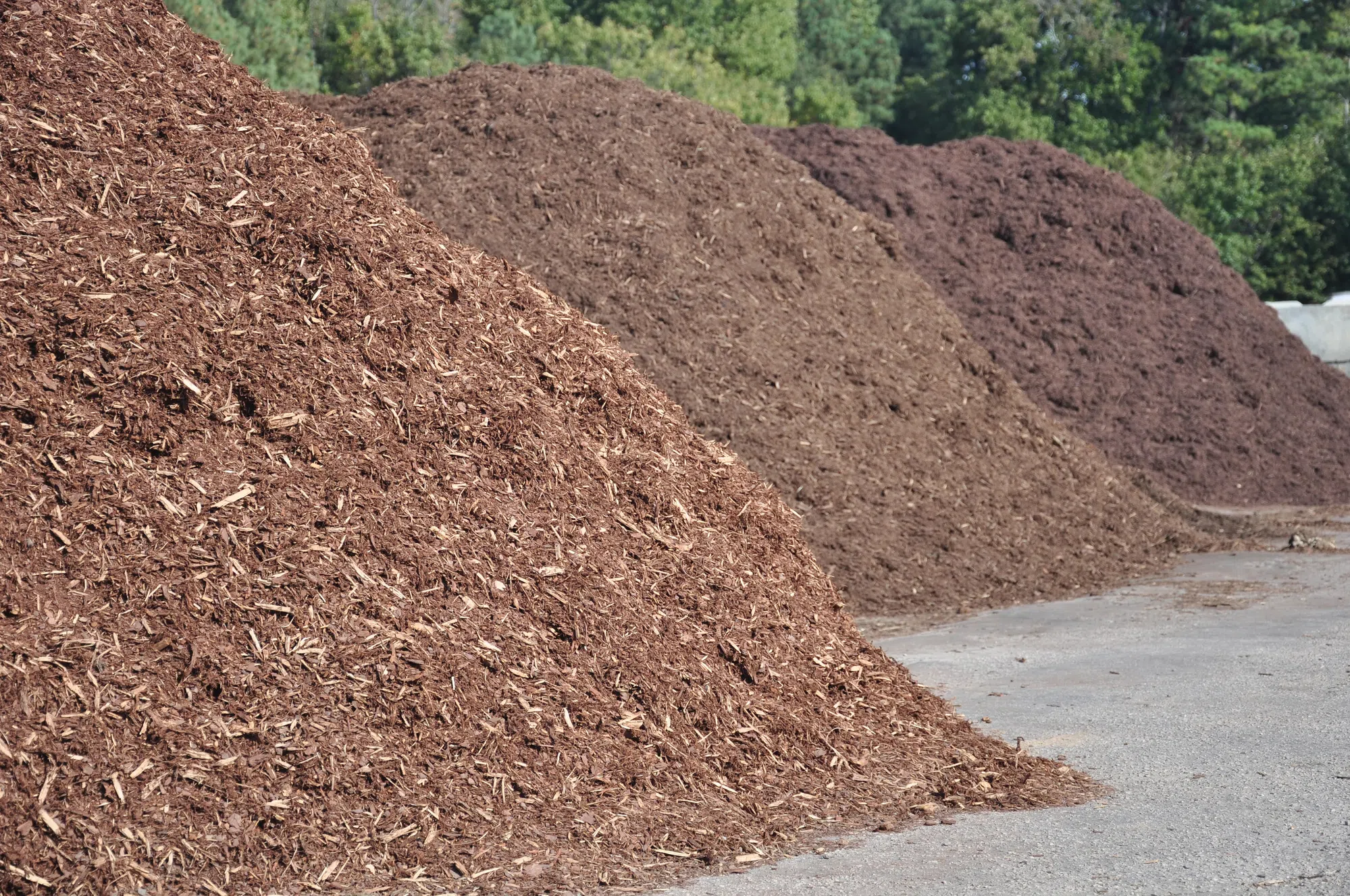 Free compost available at Solid Waste and Recycling Facility