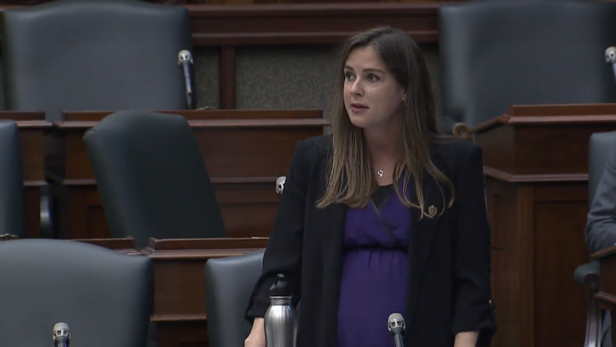 NDP continue to blast the government over mercury contamination - Vimarsana News