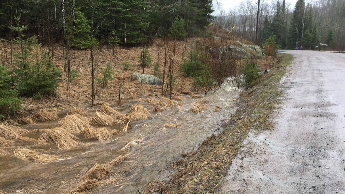 Weather stations report lots of rain - Vimarsana News