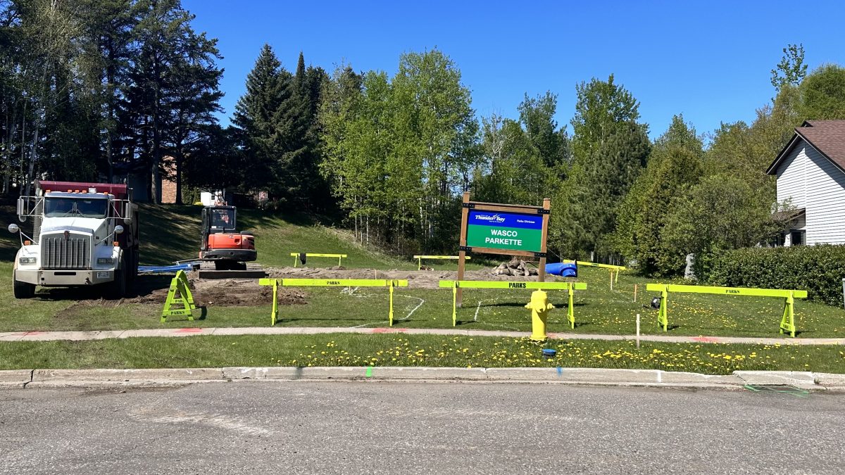 Wasco Park is getting an upgrade - Vimarsana News