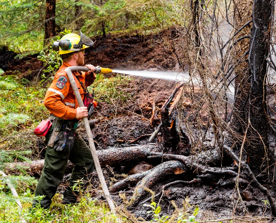 One forest fire reported Thursday