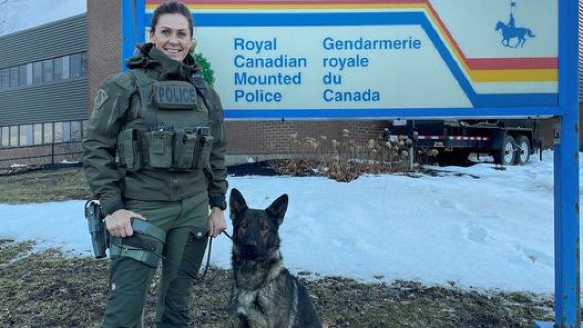 Boy safe thanks to help of RCMP Police Services Dog - Vimarsana News