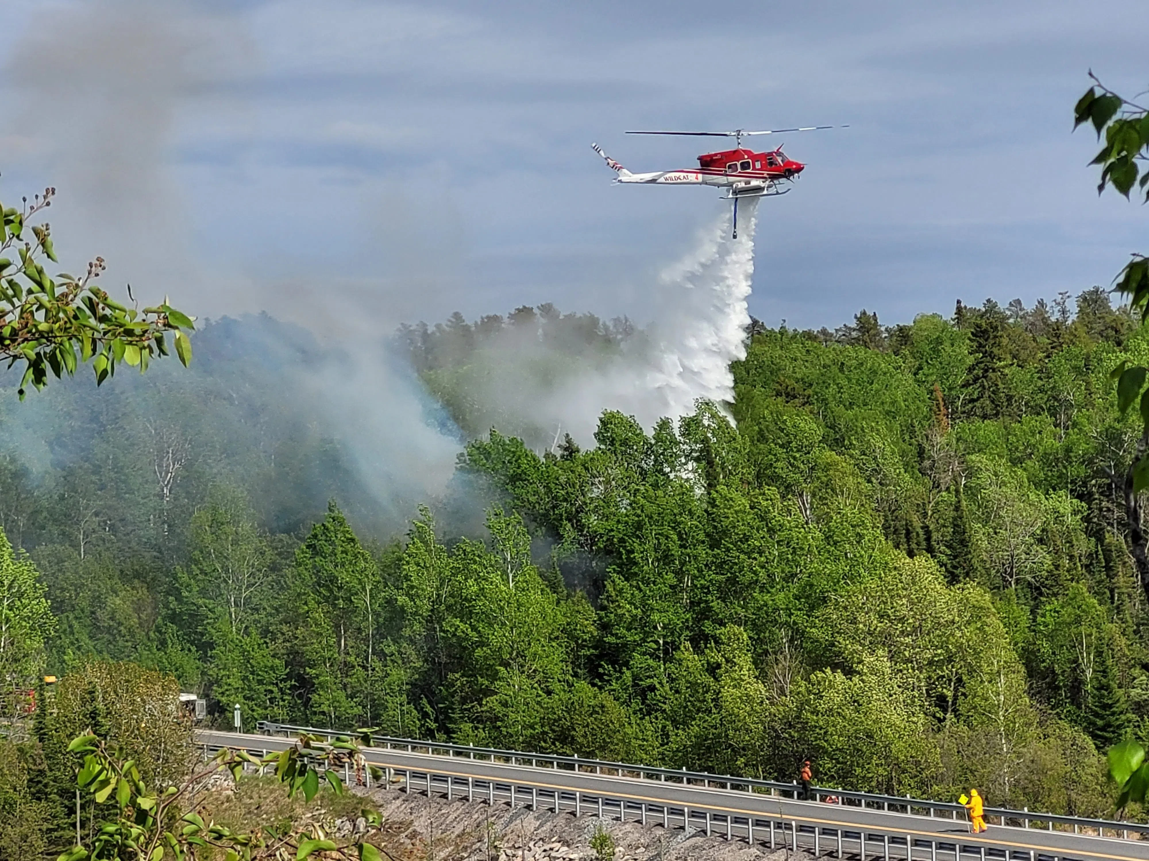 Nine forest fires battled this week