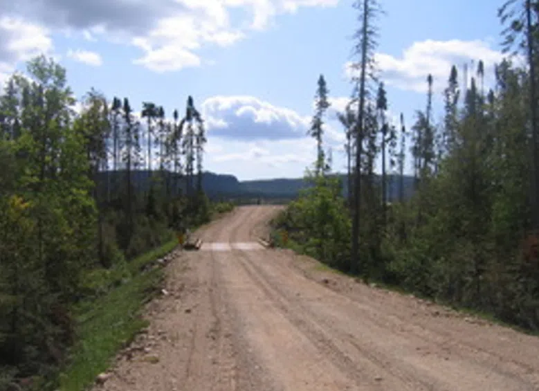 Forest access roads to get an extra $6 million