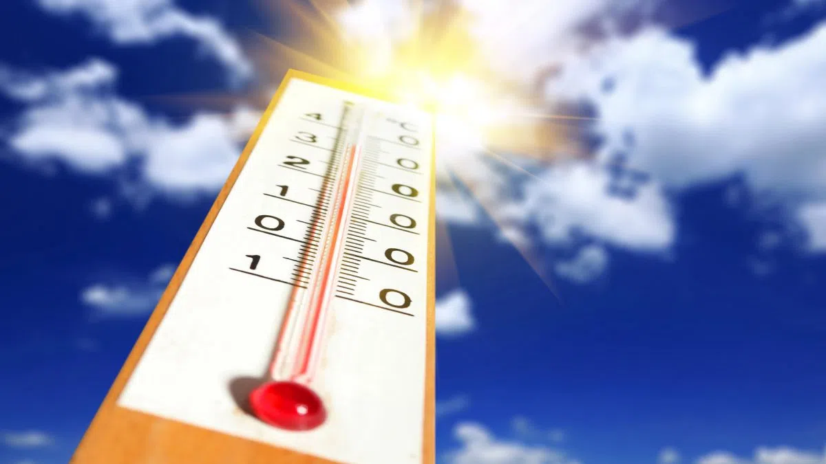 Warmest Halloween on record for some regions in N.B. 98.1 Charlotte FM