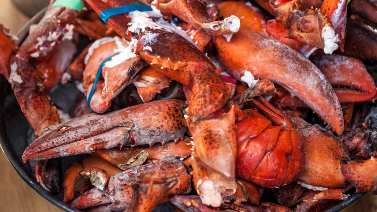 Lobster Crawl launches search for its 2026 LobSTAR ambassador