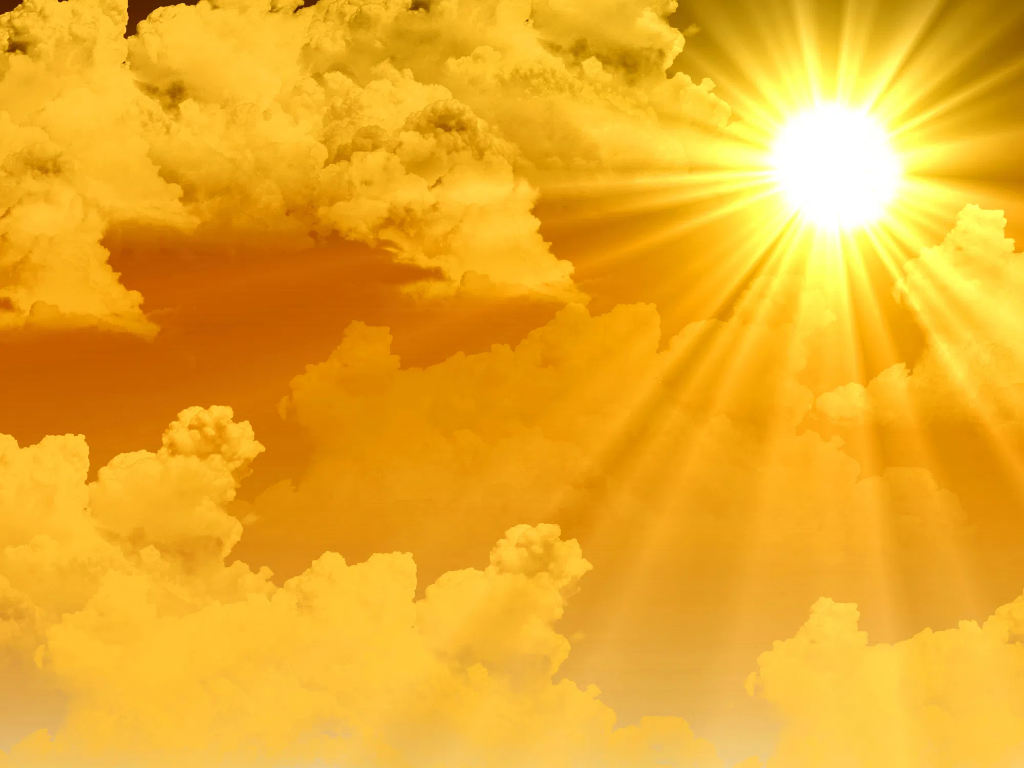 Safety a priority for schools during heat wave