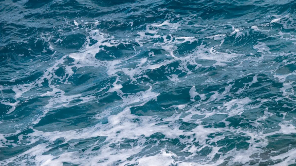 Province hosting aquaculture information sessions in Argyle