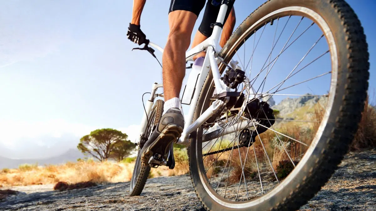 Canadian Taxpayers Federation petitioning to stop Halifax bike lane network