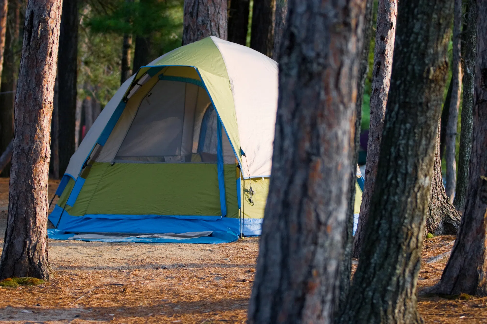 Thunder Bay council looks to add new distance rules for tents