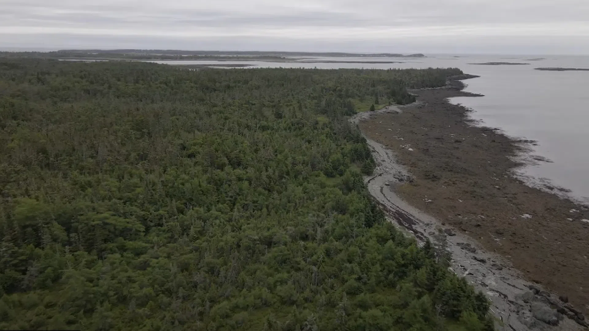 New nature preserve officially opens on Ross Island