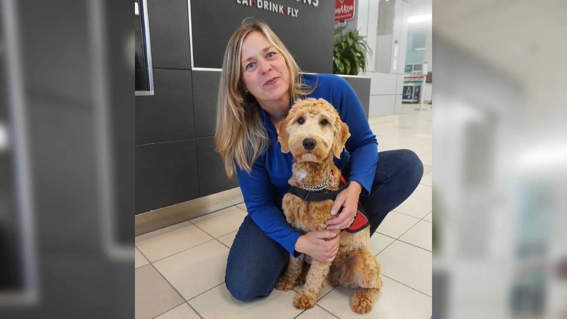 K9 Aerial a 'paws-itive' addition at Saint John Airport