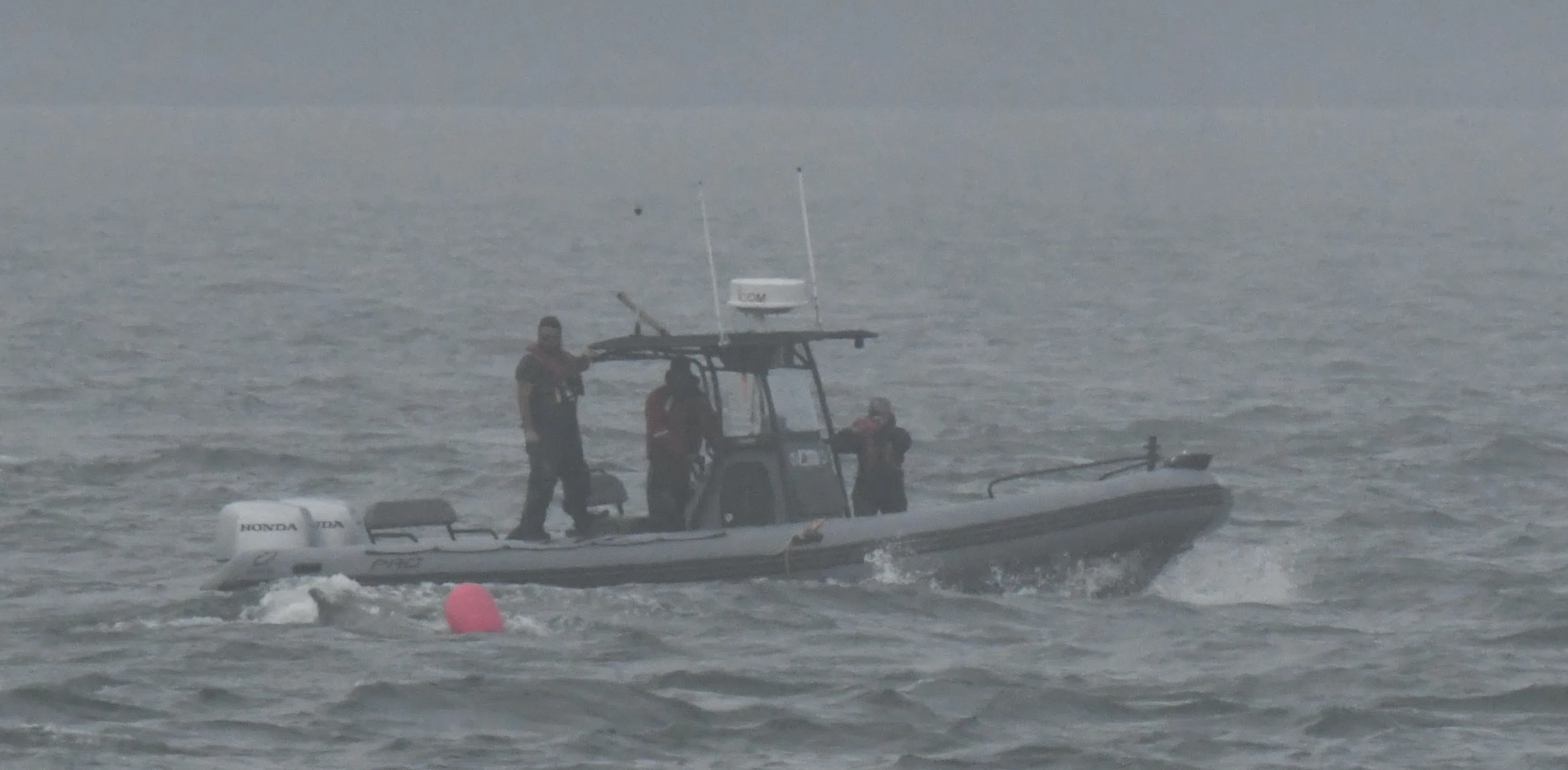 Two entangled humpback whales rescued this week