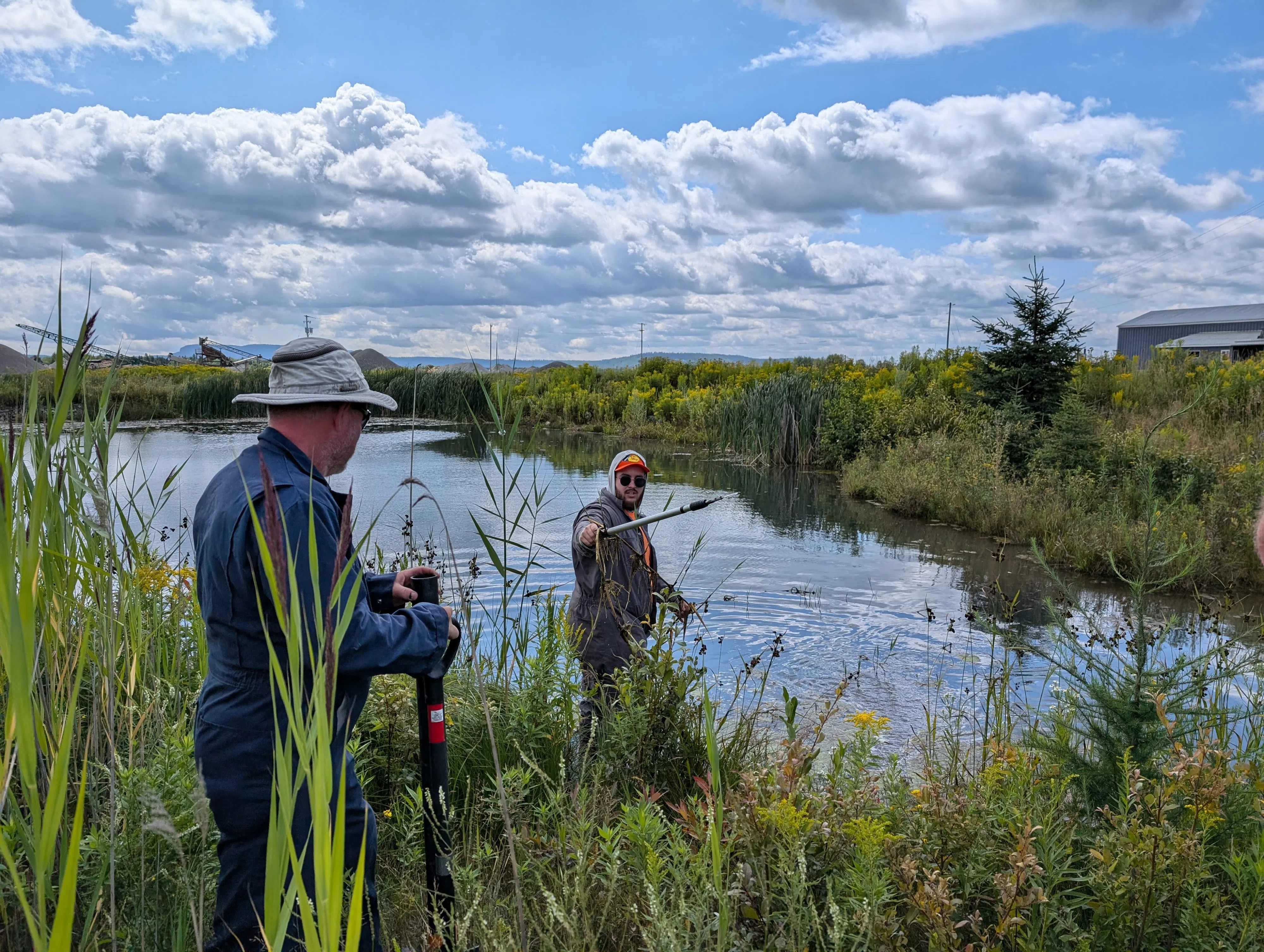 Funding to combat invasive plant coming to the region