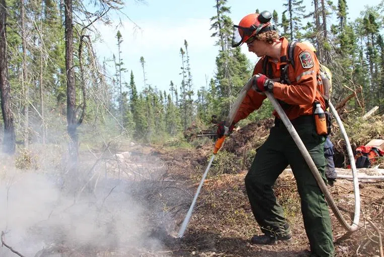 Busy long weekend for forest fires