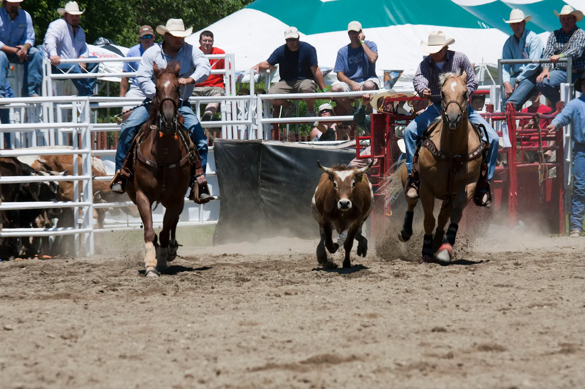 First ever Nova Scotia Stampede kicks off