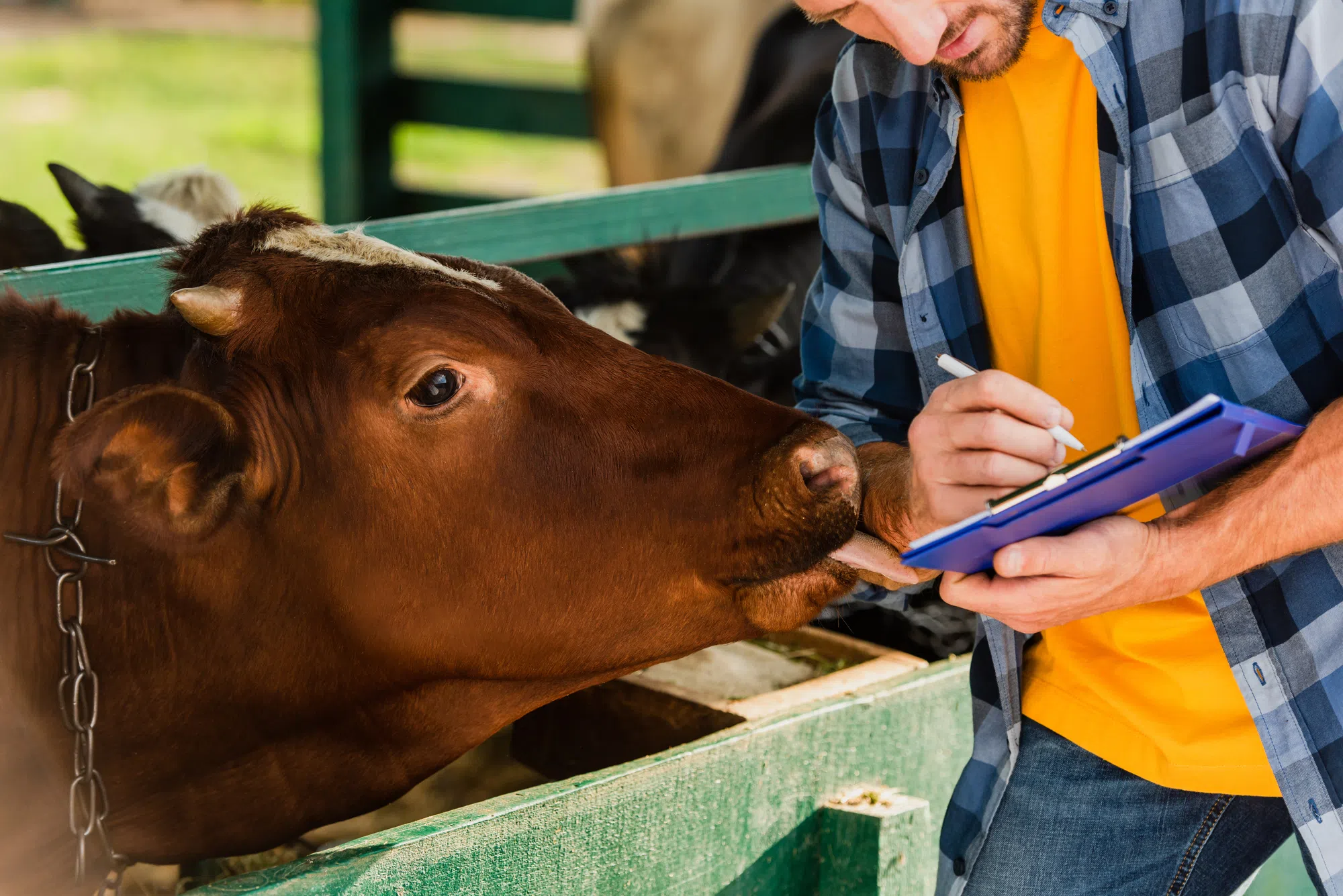 Families invited to New Brunswick's Open Farm Day