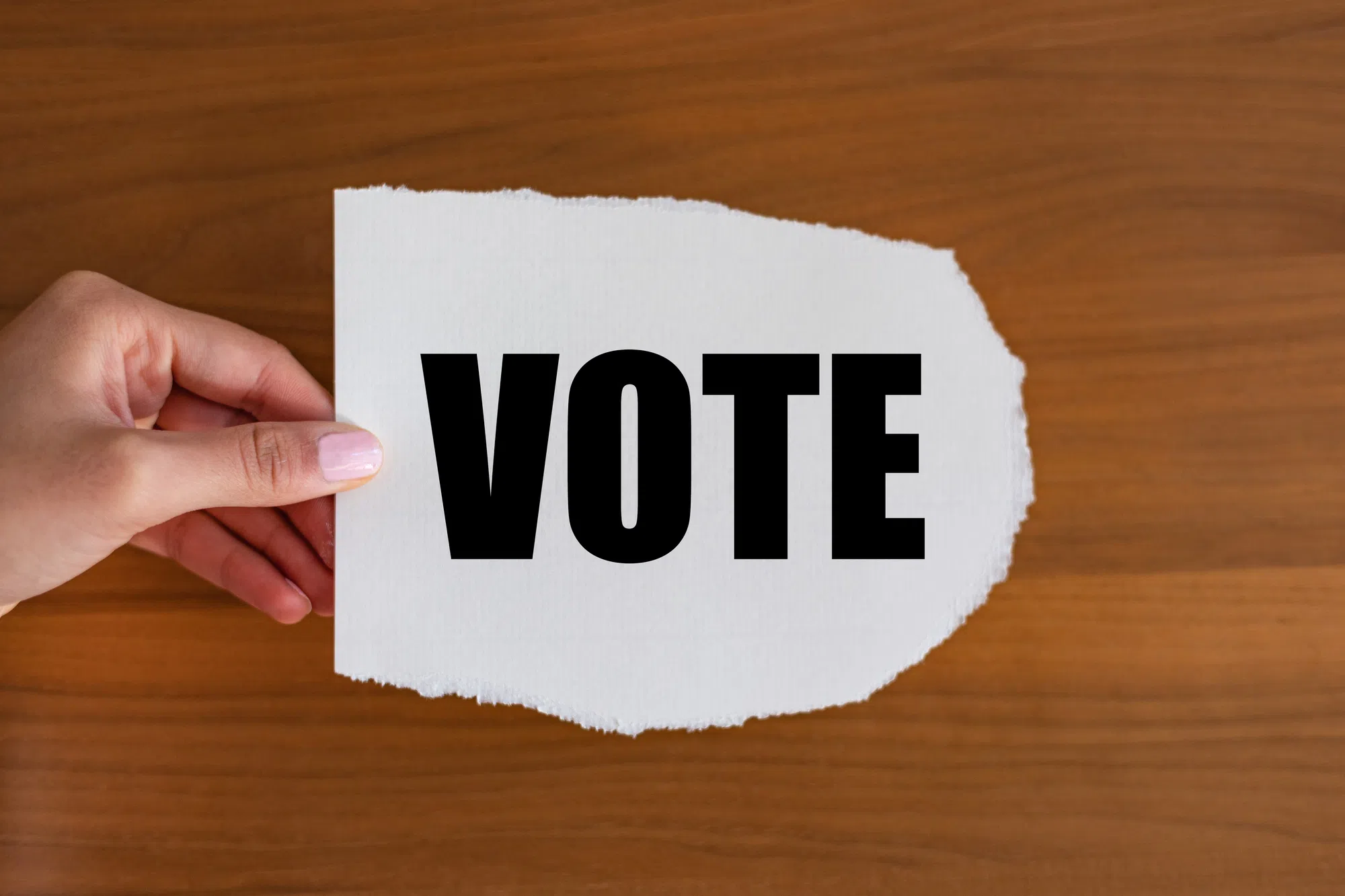 Voter information for the N.B. provincial election