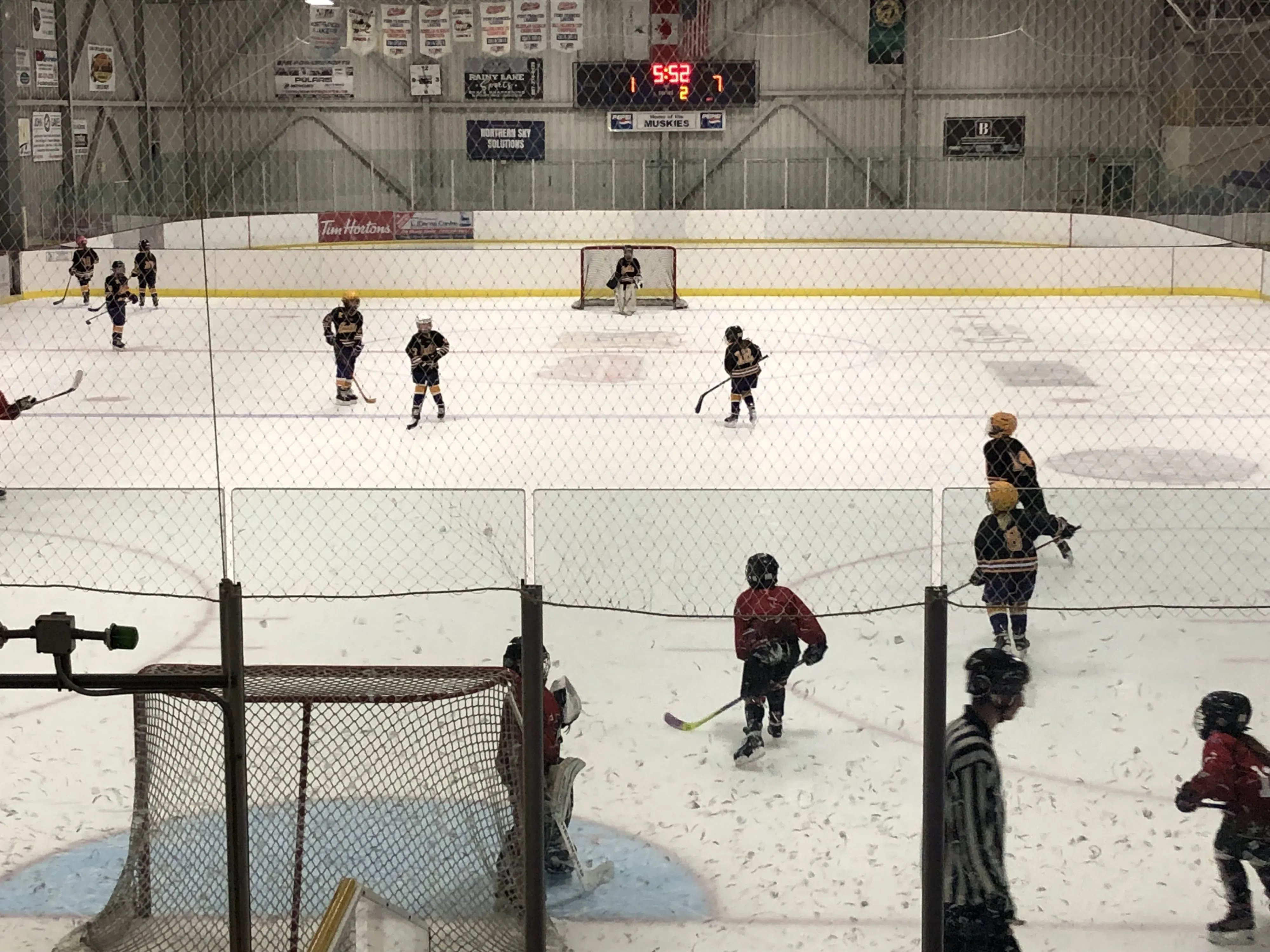 Council reviews proposal to expand hockey tournaments