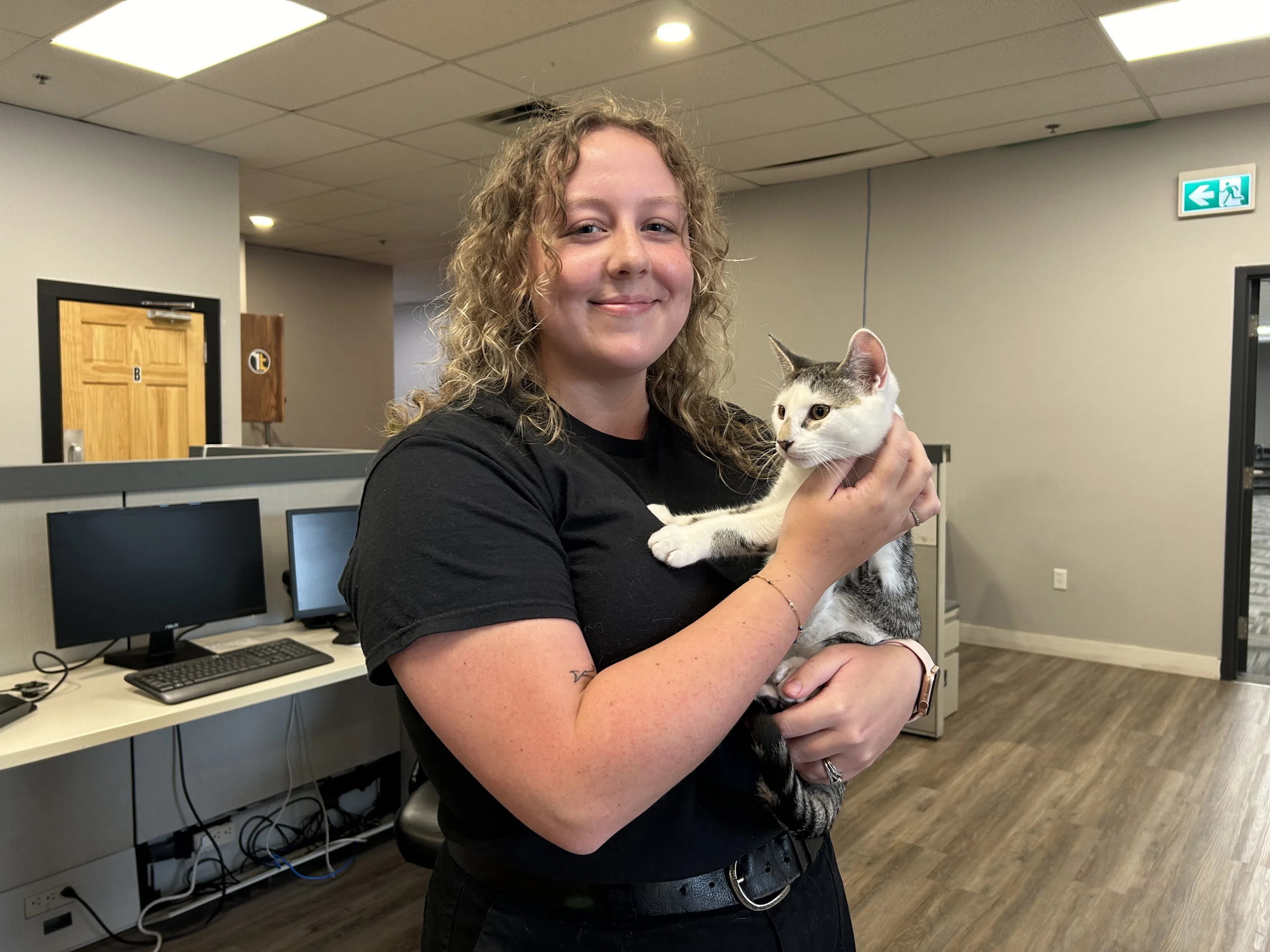 Halifax animal shelter rescues more than 70 cats from single property