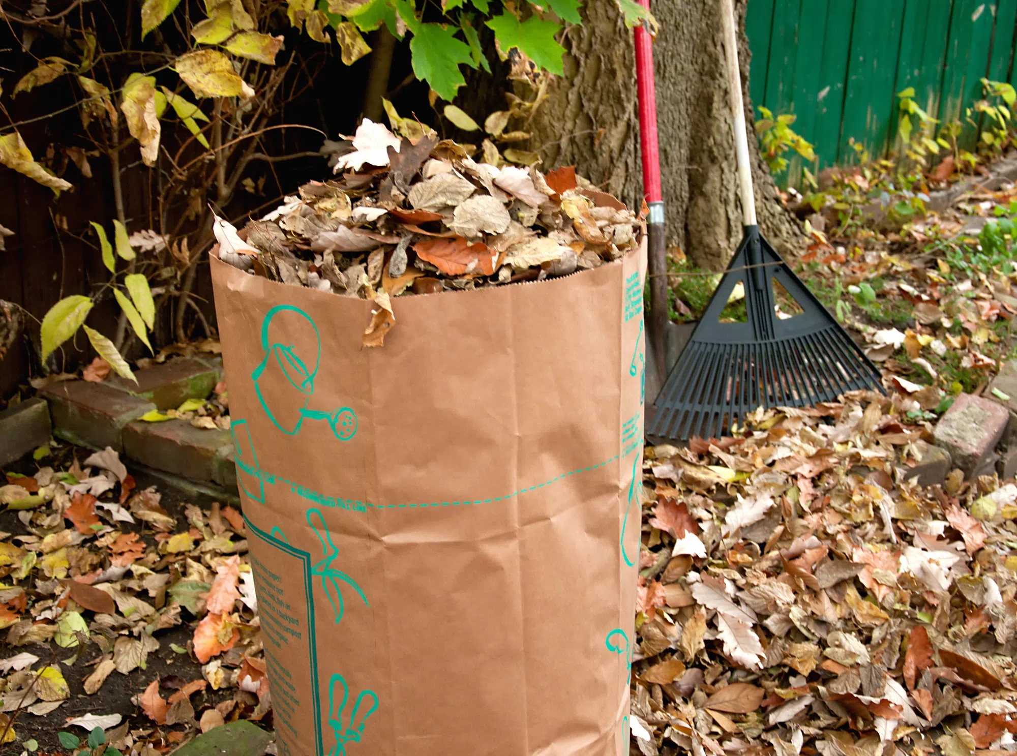 Fall leaf and yard waste curbside collections returns