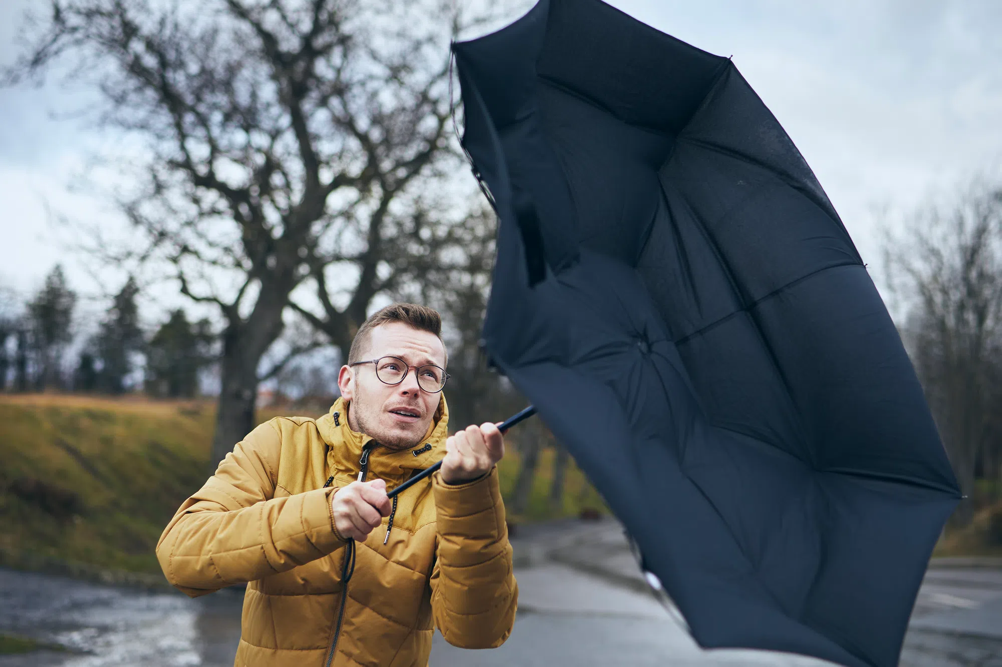 High winds & heavy rain in the forecast for parts of N.S.