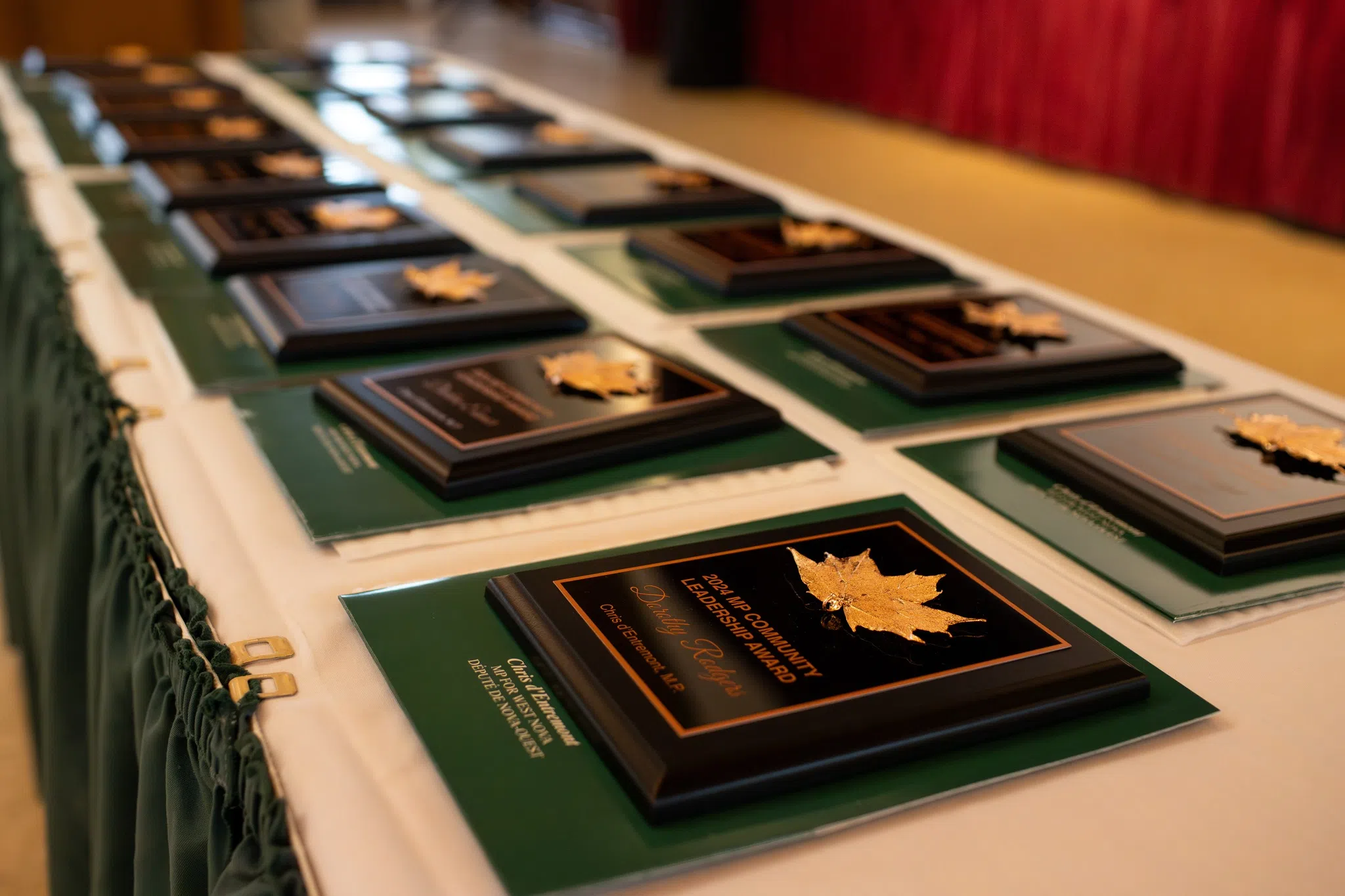 MP Community Leadership awards handed out in Digby