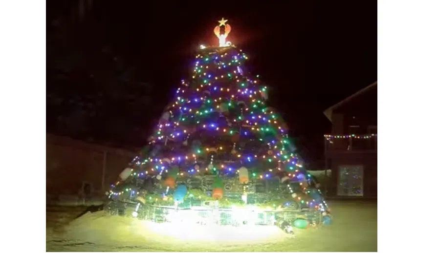 Alma to feature a more traditional style Christmas tree this year