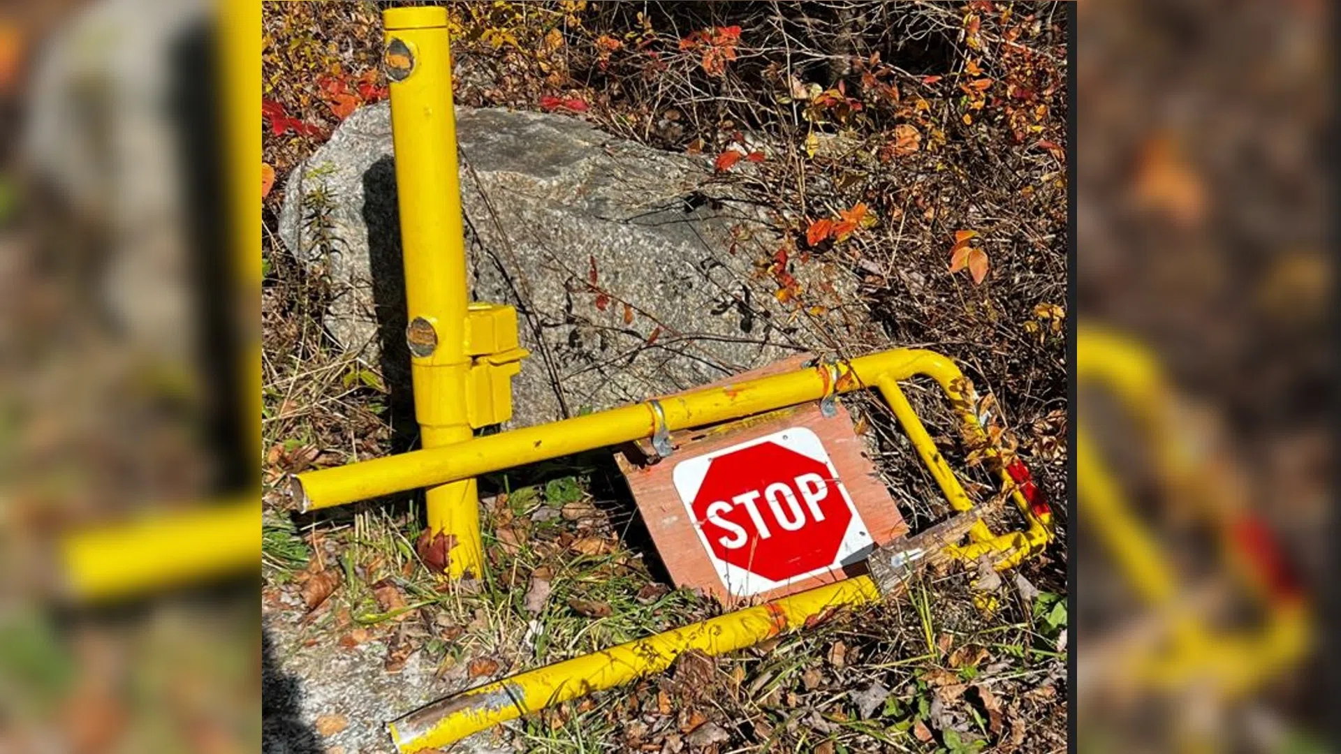 'Like a punch to the stomach': association chair after popular HRM trail vandalized