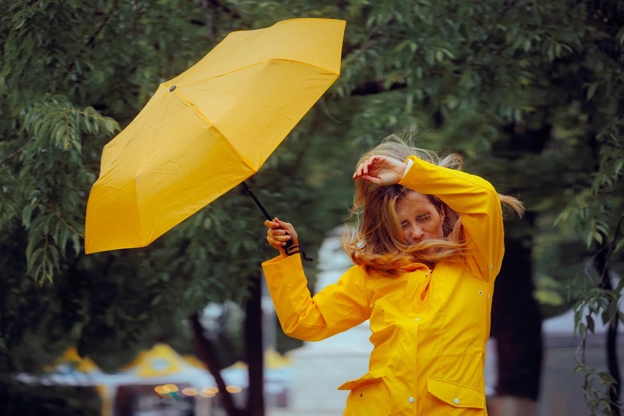 Rain and windy conditions on the way