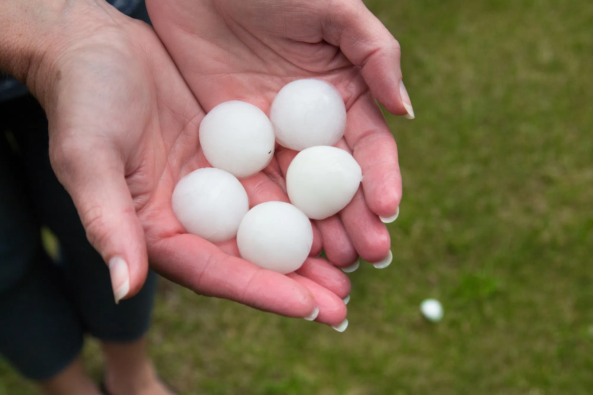 Historic weather events make 2024 Canada's costliest year