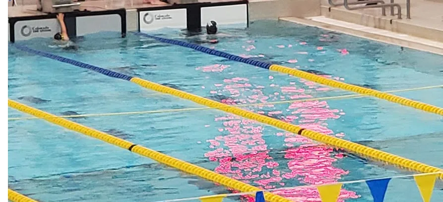 Swimmers showcasing their skills at NB Open Cup