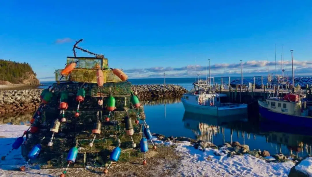 Lobster trap tree in Alma, N.B. constructed at wharf