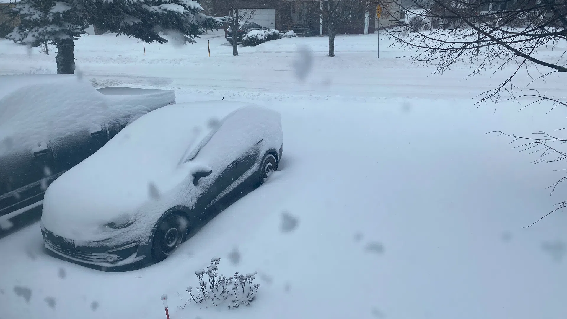 Snow covers two vehicles parked in a driveway.