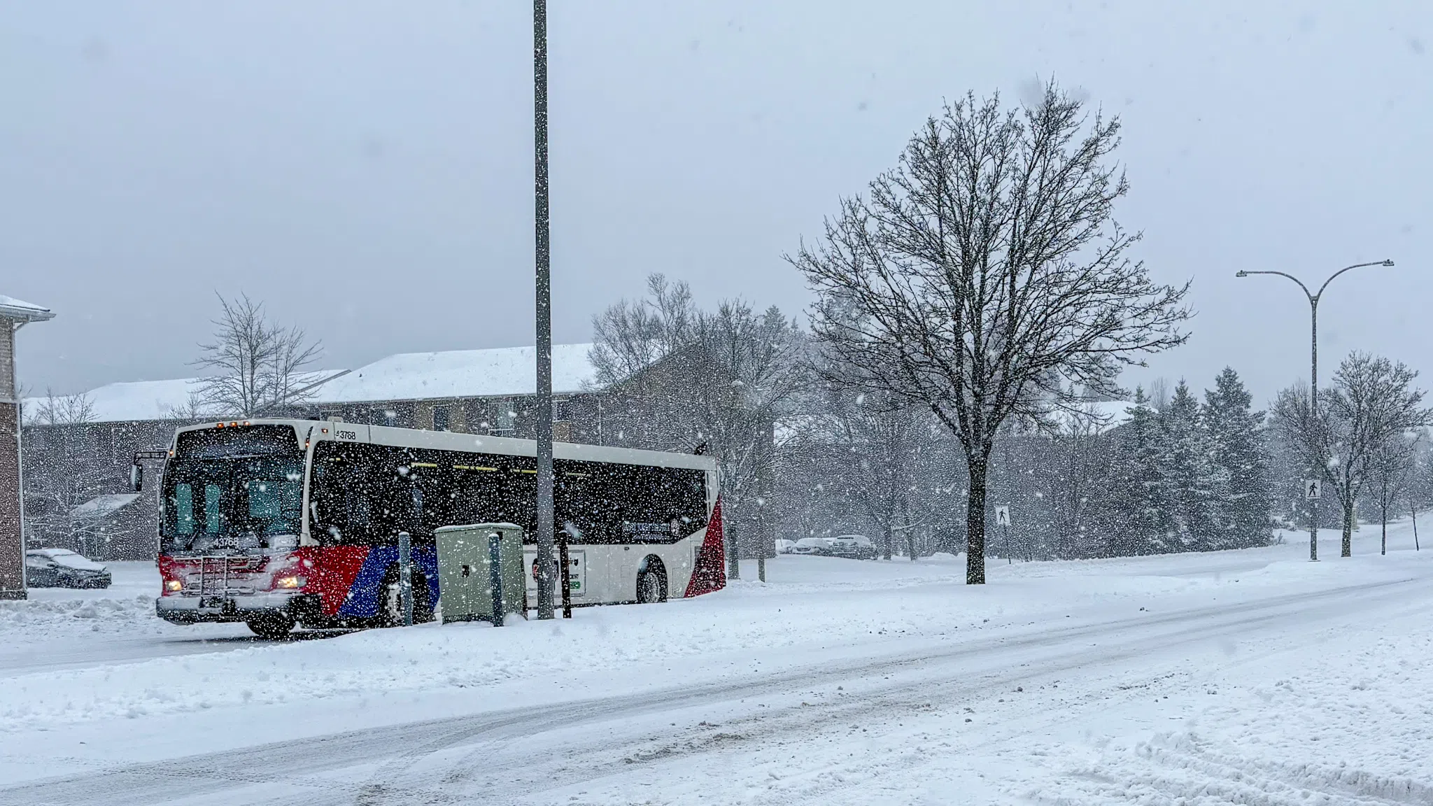 N.B. ongoing snowstorm and travel advisories