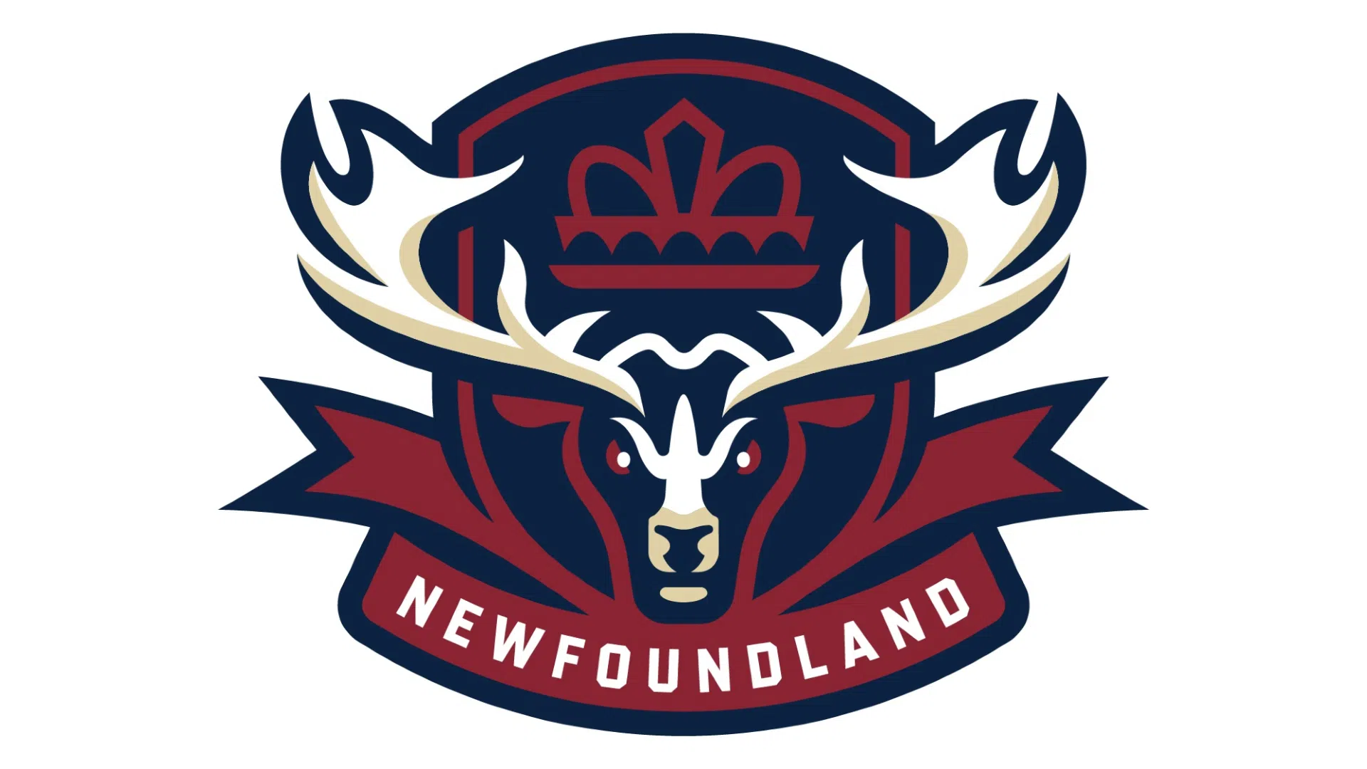 Newfoundland Regiment unveiled as newest QMJHL team