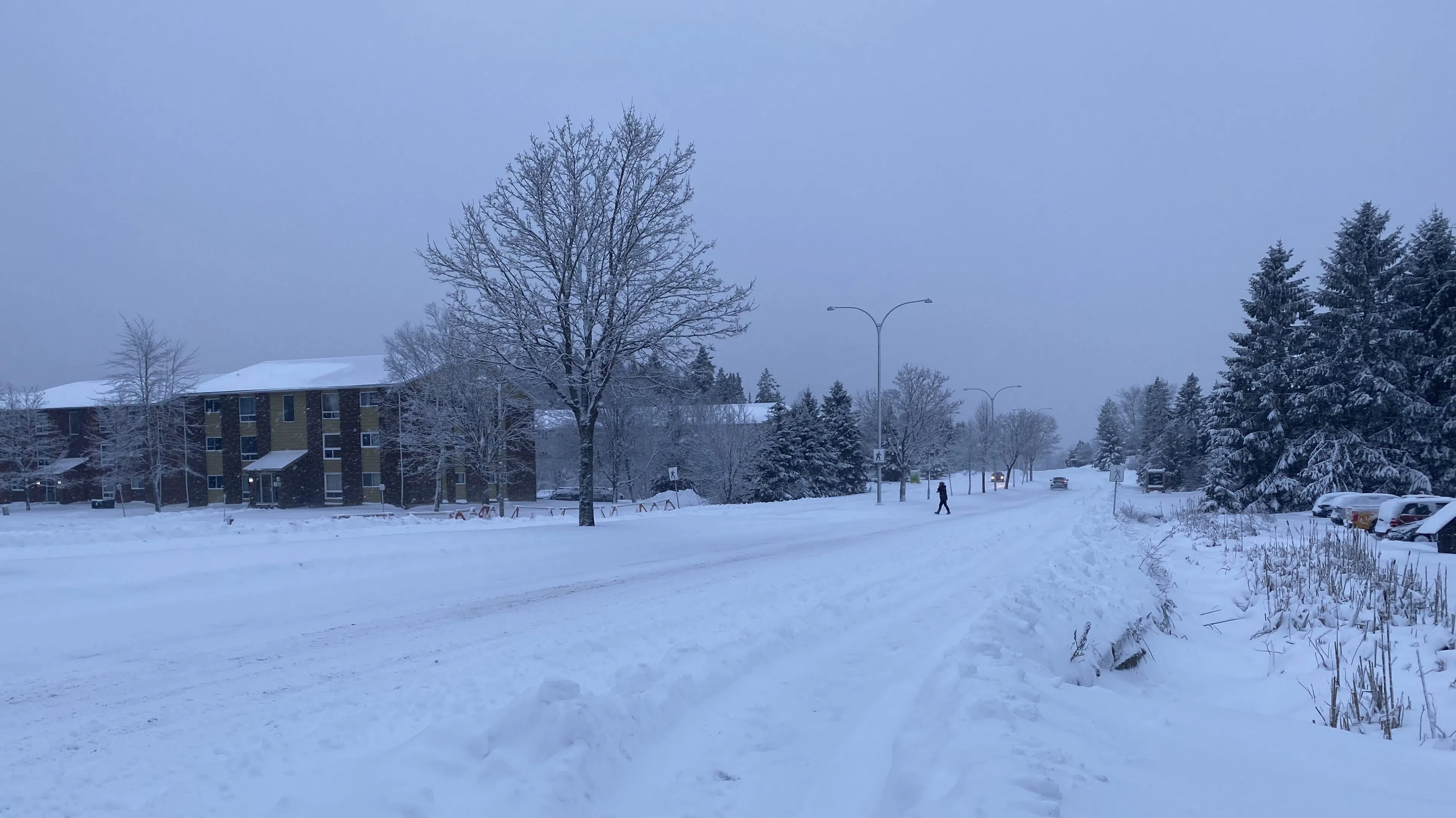 UPDATE: Cleanup begins from winter storm