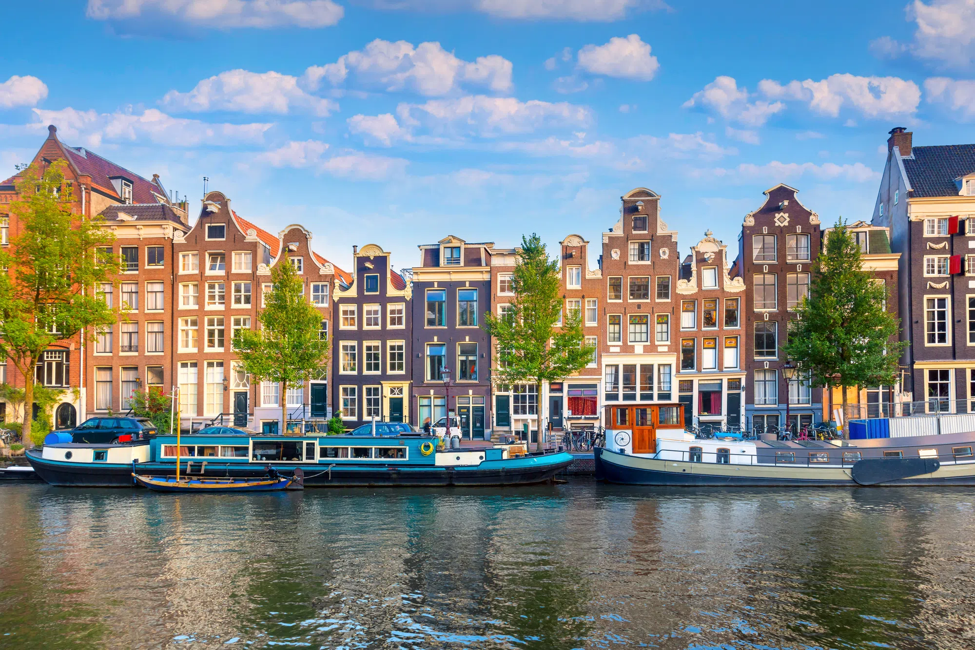 WestJet launching direct flights N.S. to Amsterdam
