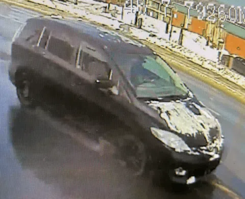 Information needed after hit and run involving pedestrian