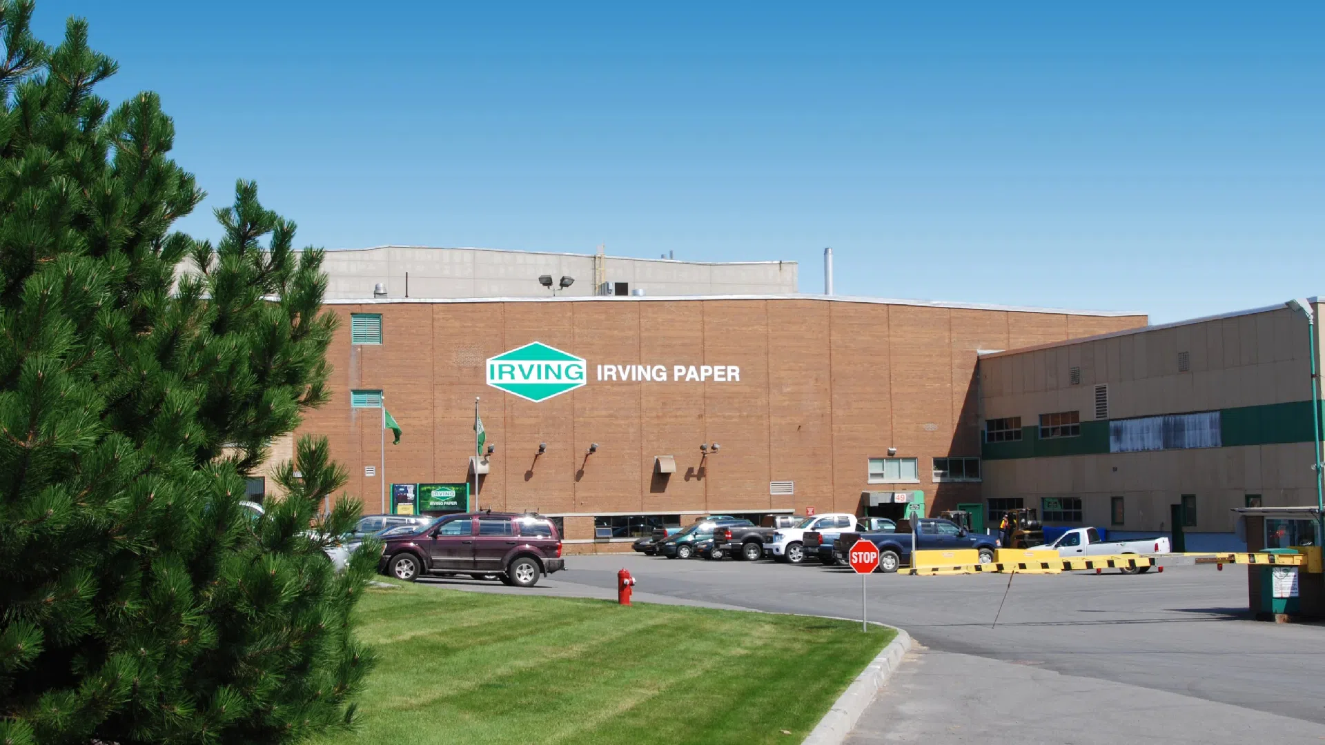 Irving Paper lays off 140 workers at Saint John mill