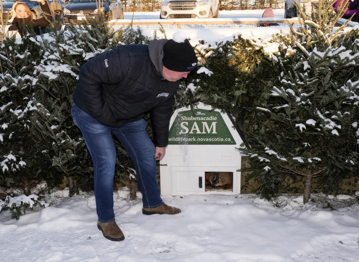 Nova Scotia and Ontario Groundhog Day forecasts: A Split Decision