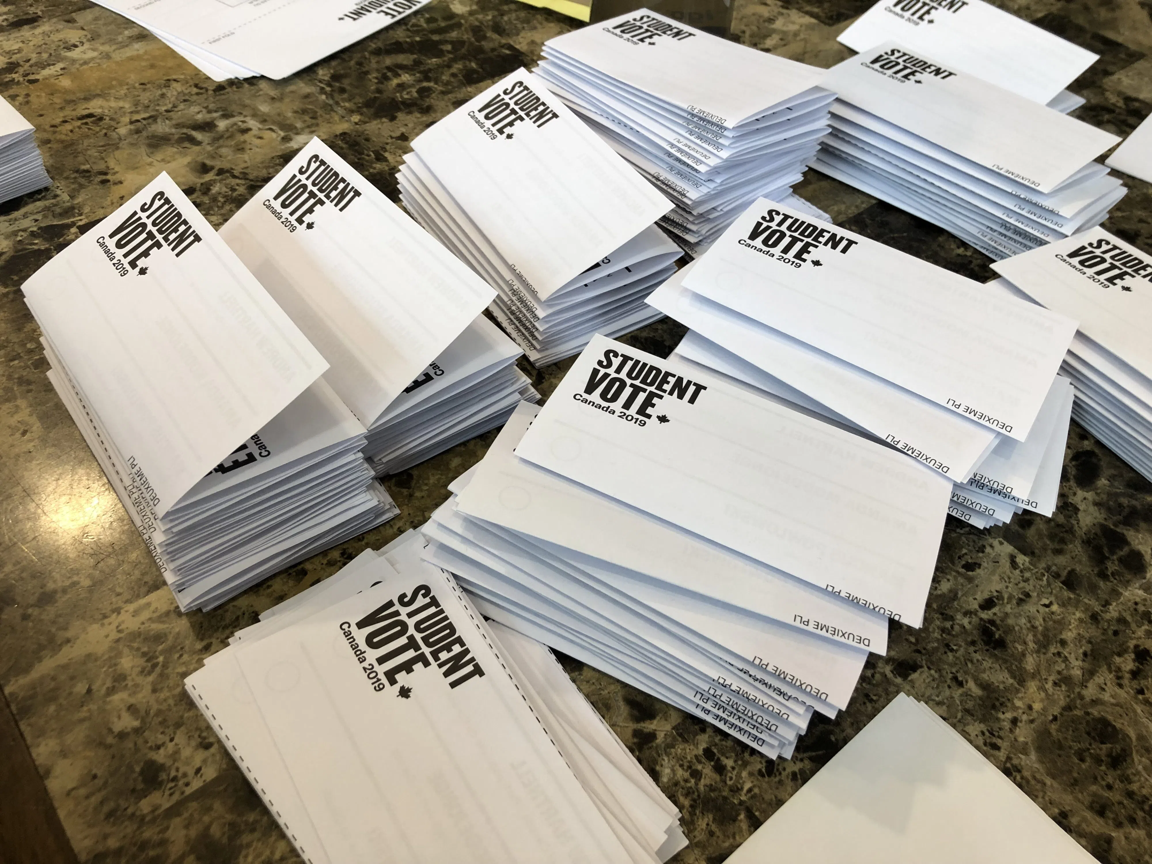 Mock student election gives Conservatives the win