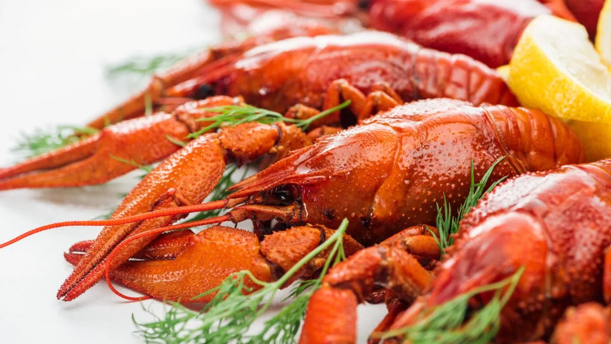 Chinese deal ‘great news for lobster industry’ says Lobster Council of Canada head